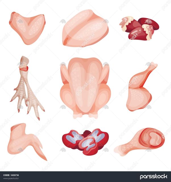 خرید و فروش سیب زمینی بسته بندی نیمه آماده09115228604