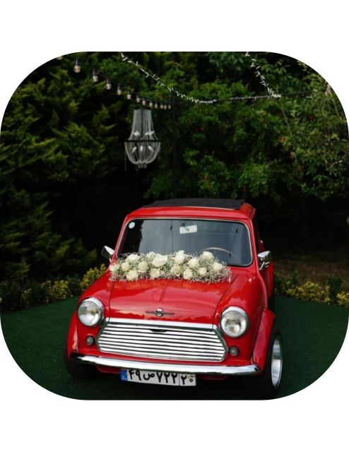 برگزاری جشن در باغ شخصی