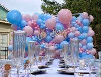 برگزاری جشن تعیین جنسیت دوقلو در اصفهان