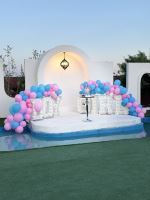 جشن تعیین جنسیت دوقلو در اصفهان