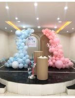 جشن تعیین جنسیت دوقلو در اصفهان