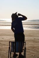 باشگاه پاراگلایدرشاهین آسمان