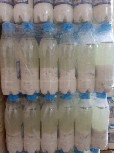 دوغ و ماست محلی