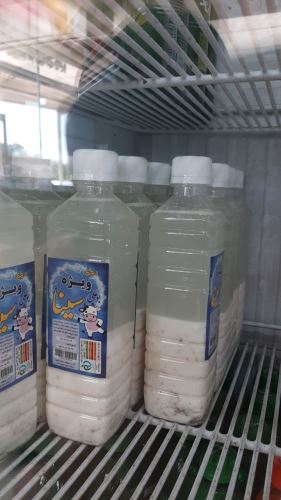 دوغ بوعلی سینا